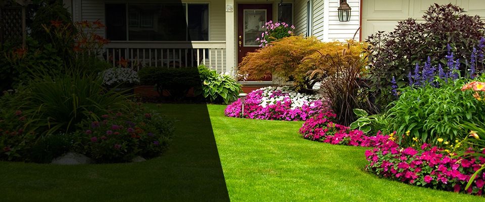 Parachute Landscapers